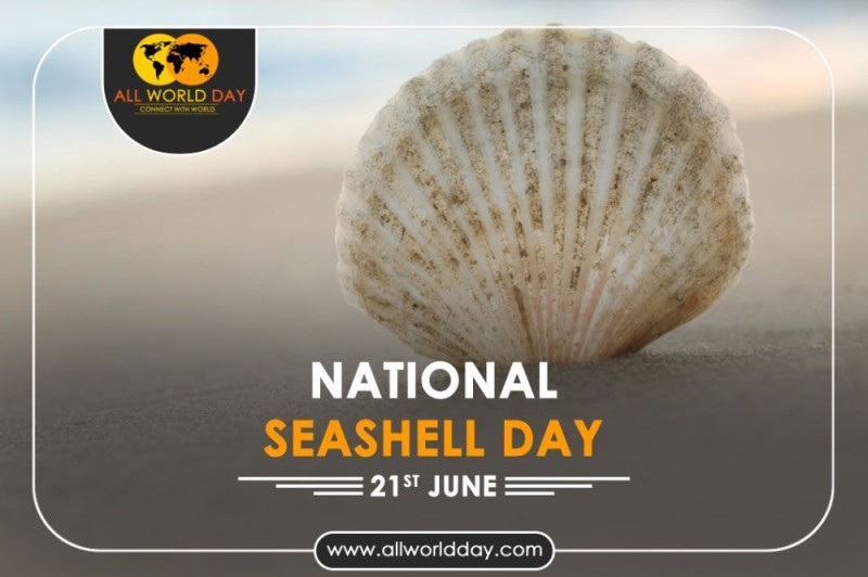 Create meme: beautiful shells, seashell, text 