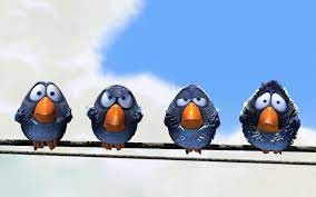 Create meme: a bird on the wire, about birds, three funny birds