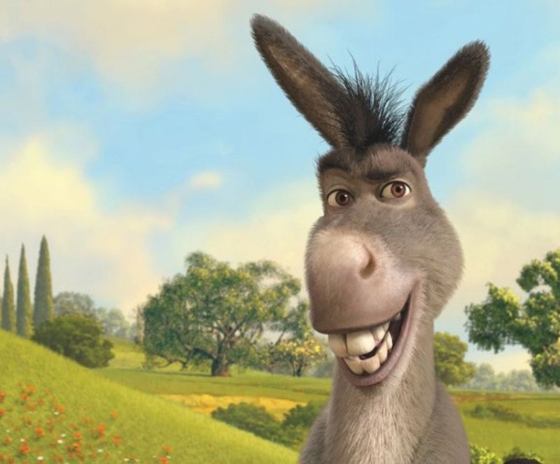 Create meme: smile donkey from Shrek, donkey smiles shrek, donkey shrek