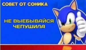 Create meme: advice from sonic meme, sonic, sonic says