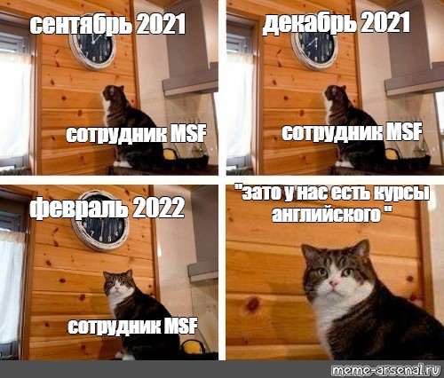 Фото кота носка мем