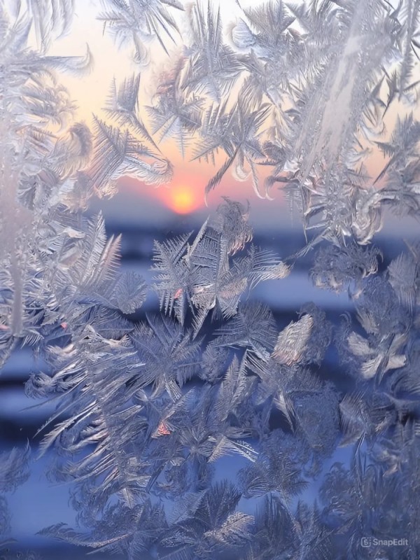 Create meme: frosty patterns on the windows, frost, winter patterns on the windows