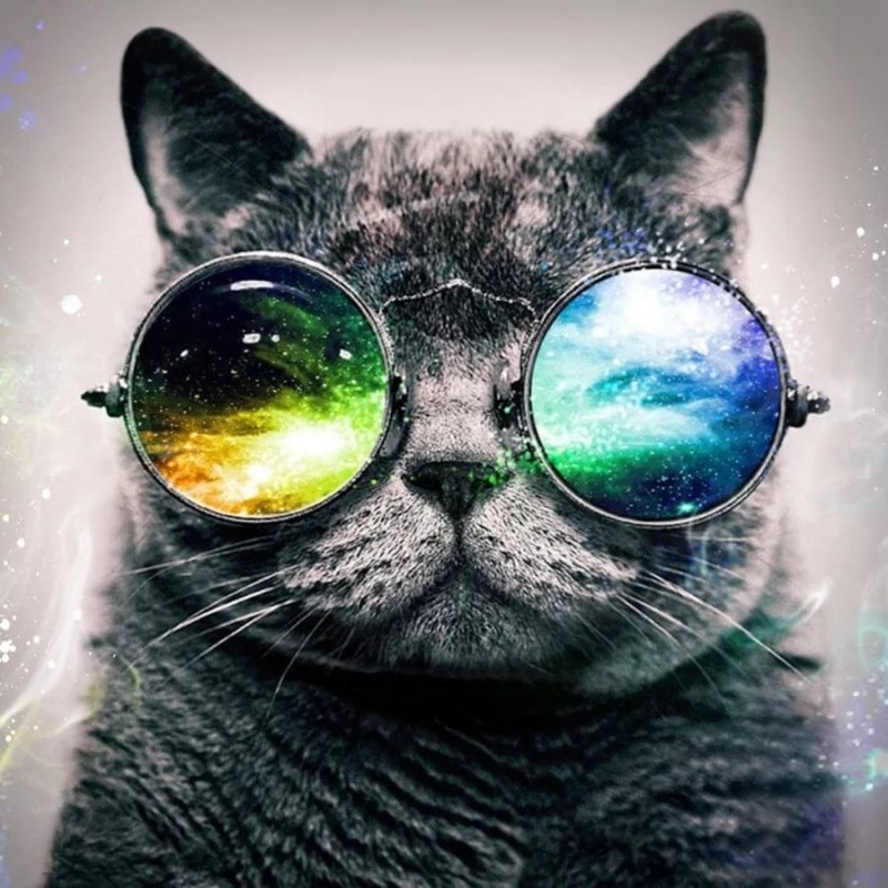 Create meme: cats in glasses, cat with cosmos glasses, cat in glasses space