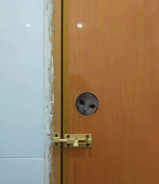 Create meme: the door , door handle, door lock 