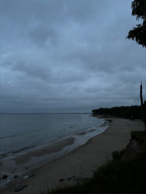 Create meme: Osinovetsky beach on Lake Ladoga, the beach is affectionate, Jurmala wild beach