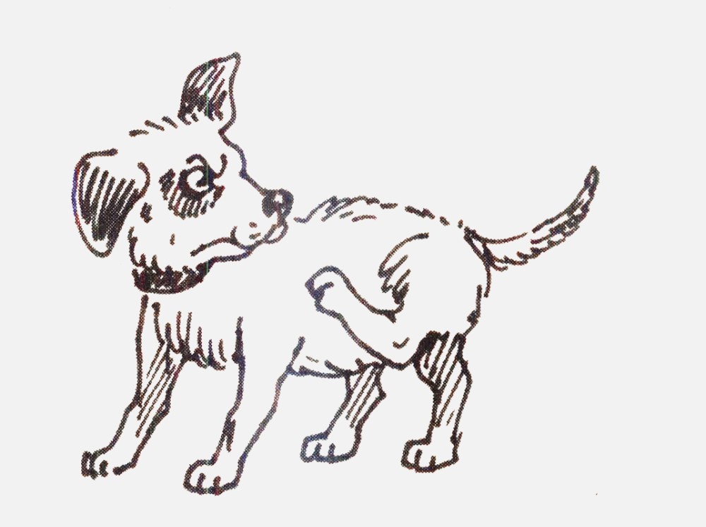 Создать мем: лающая собака рисунок, собака, собака сзади рисунок
