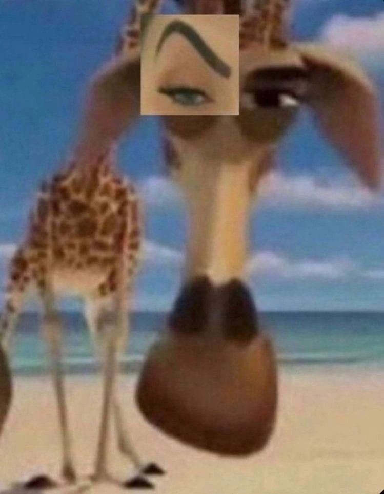 Create Meme Madagascar 3 Melman Madagascar Pictures Meme 2941