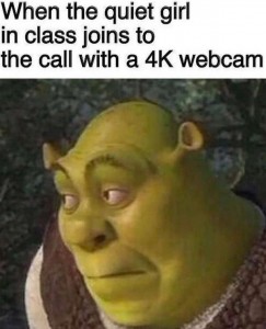 Create meme: Shrek surprise, take meme Shrek, Shrek
