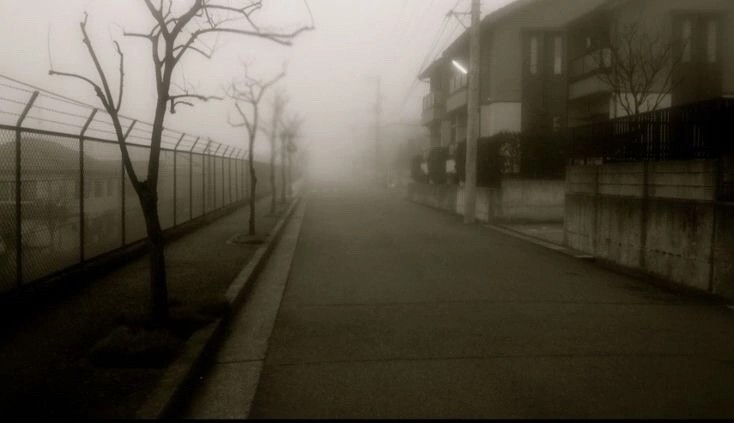 Create meme: darkness, street in the fog, photos 