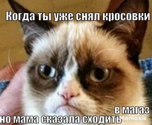 Create meme: grumpy cat no, grumpy cat smiles, cat meme