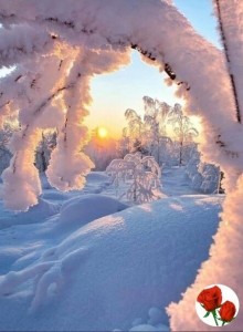 Create meme: winter nature, winter sun