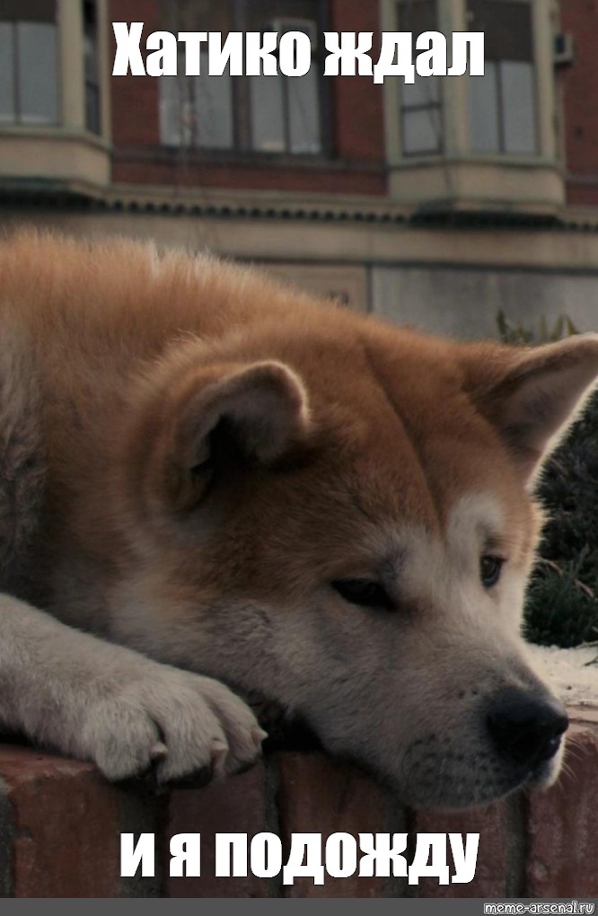 Собаке Хатико исполняется 100 лет