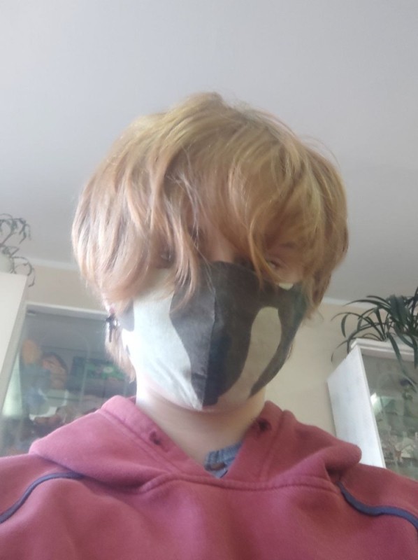 Create meme: mask , people , bird mask