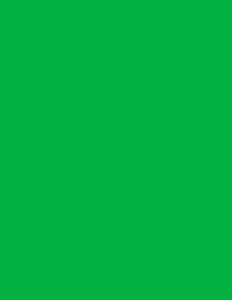 Создать мем: неоновый зеленый цвет, рал 6029 зеленая мята, зеленый цвет рал 6002
