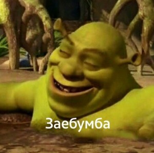 Create meme: picture Shrek zabumba, not zabumba Shrek, photo of Shrek zabumba