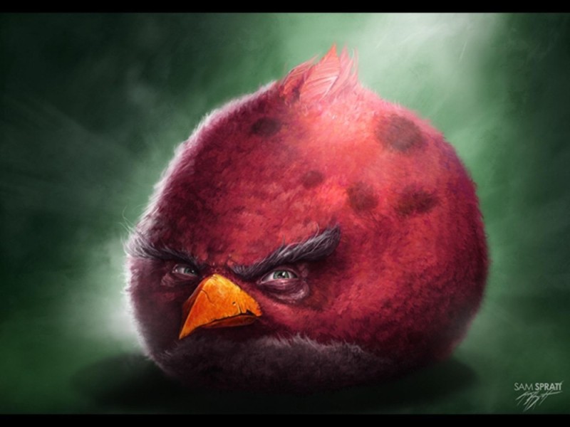 Create meme: red from angry birds, Red from the Angri Birds, The bird from the Angri Birds