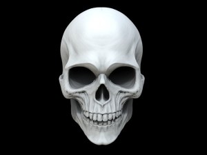 Create meme: white skull, skull skeleton, skull