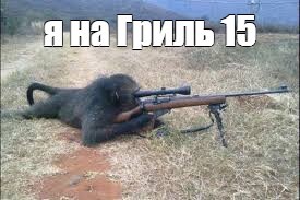 Create meme: Sniper monkey