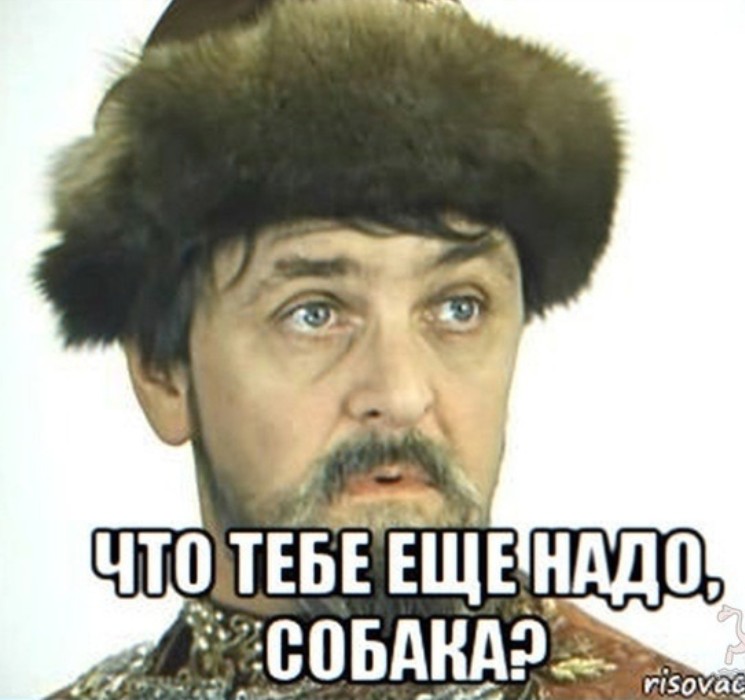 Создать мем: чего тебе надо собака, чего тебе надобно собака иван васильевич, чего тебе еще надо собака мем