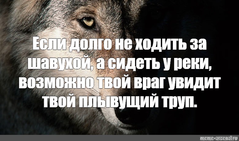 Волк обиделась. Мемы с волками и Цитатами. Если долго ждать на берегу реки увидишь как плывут твои враги.