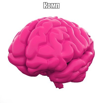 Create meme: brain 3 d, brain on a white background, brain 