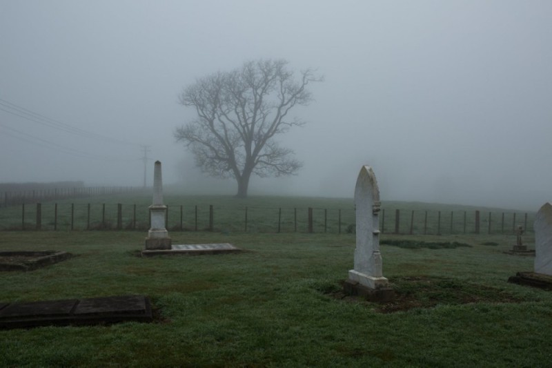 Create meme: thick fog , cemetery in the fog, cemetery background