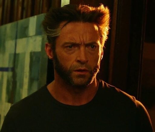 Create meme: Hugh Jackman Wolverine, the wolverine film, James Howlett Wolverine