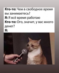 Create meme: meme cat, cat with microphone, meme cat