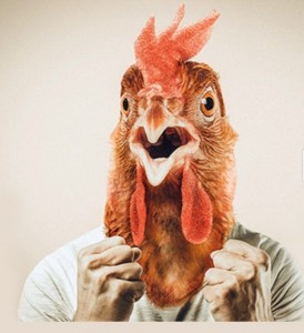 Create meme: chicken meme, drunk chicken, surprised chicken