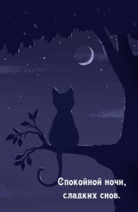 Создать мем: кот и луна, кошка ночью, кошка на фоне луны