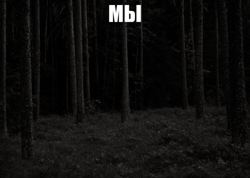 Create meme: In the dark forest, dark forest, dense forest