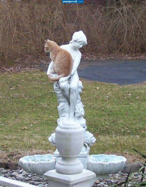 Create meme: cat , cats and statues, garden fountain