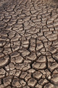 Создать мем: сухая земля в трещинах весной, drought, сухая земля