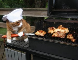Create meme: bbq, grill, cat chef pictures