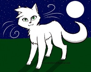 Create meme: kitty, cat outline, cats warriors blue star