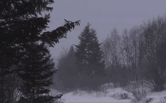 Создать мем: темнота, a snowstorm with very strong winds, dsbm forest winter