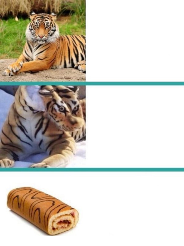 Create meme: tiger tiger, meme tiger, Bengal tiger 