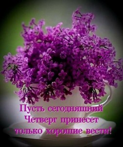 Create meme: blooming lilacs, spring lilac, flowers lilac