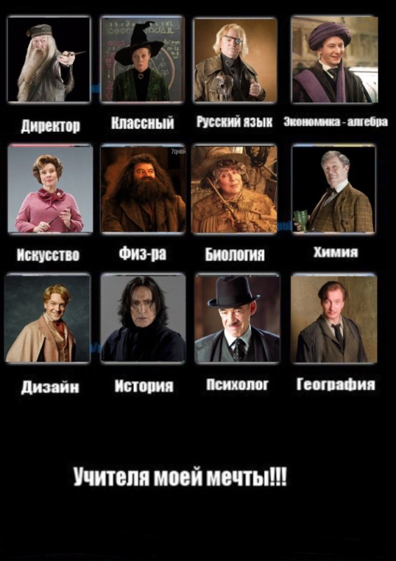 Create meme: harry potter heroes, Harry Potter Hogwarts teachers, Professor stem harry Potter