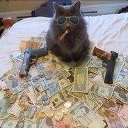 Создать мем: кот мафия, кот мафиози, dank cat memes