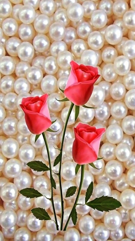 Create meme: pink roses , pearl background, roses with beads
