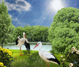 Create meme: stork, white stork, stork bird