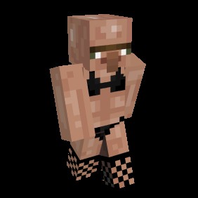 Create meme: skins minecraft