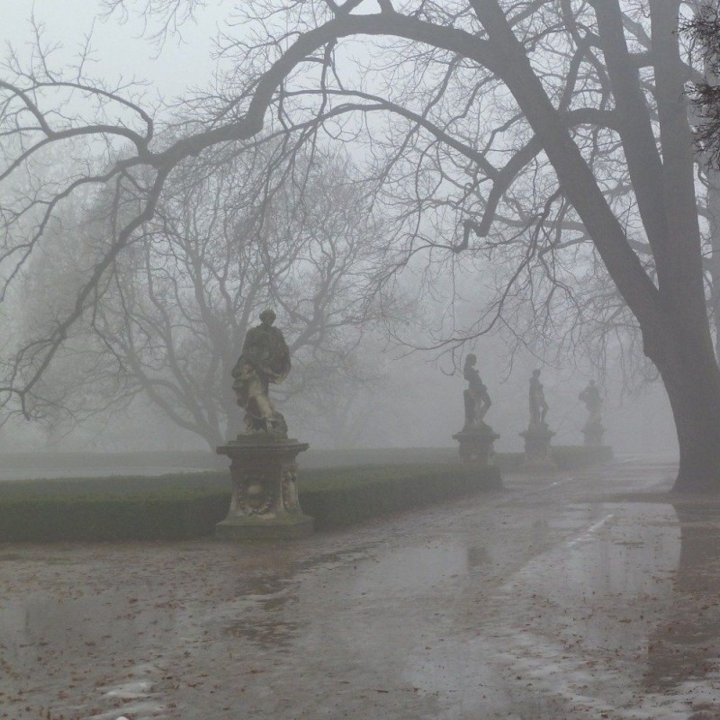 Создать мем: парк питер туман, поздняя дождливая осень, пейзаж