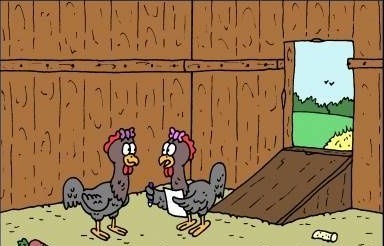 Create meme: chickens caricature, jokes about the chicken coop, chicken 