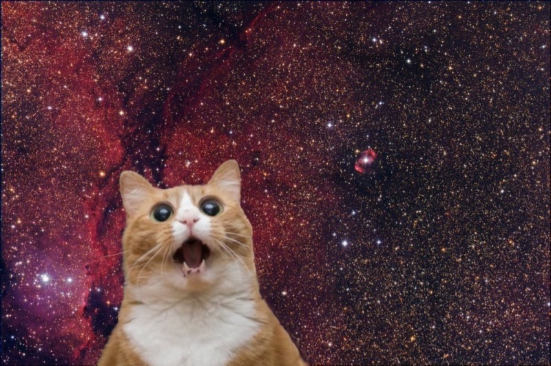 Создать мем: кошки в космосе, кот на фоне космоса, кот в космосе мем