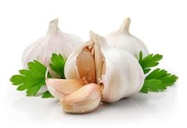 Create meme: the benefits of garlic, the chasnikom, garlic