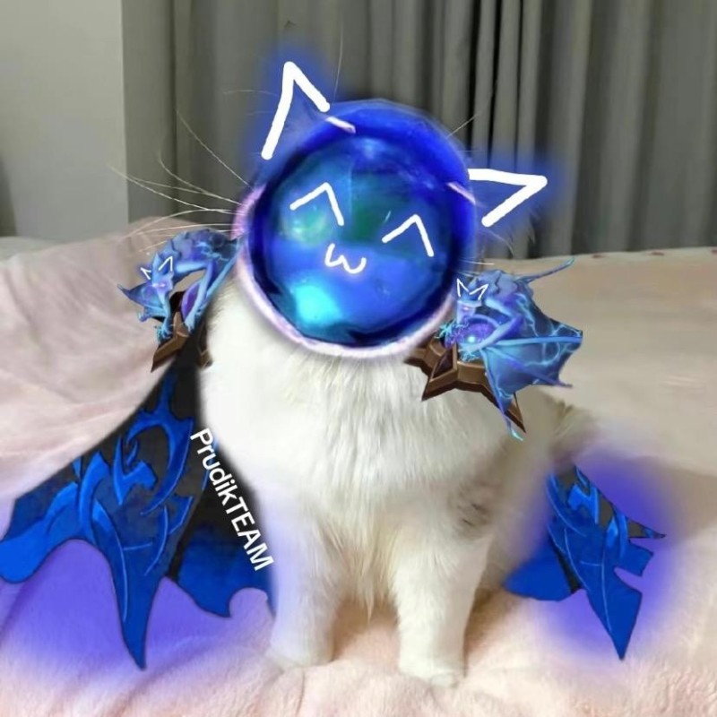 Create meme: ark varden dota, dota 2 cat, Dota the cat