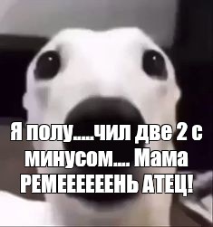 Создать мем: null