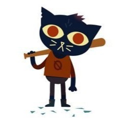 Create meme: night in the woods